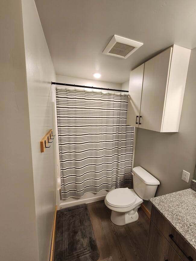 Tub Shower Combo - 280 E Lorene St