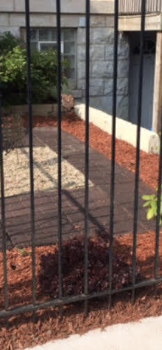 Front yard - 1126 E 44th St