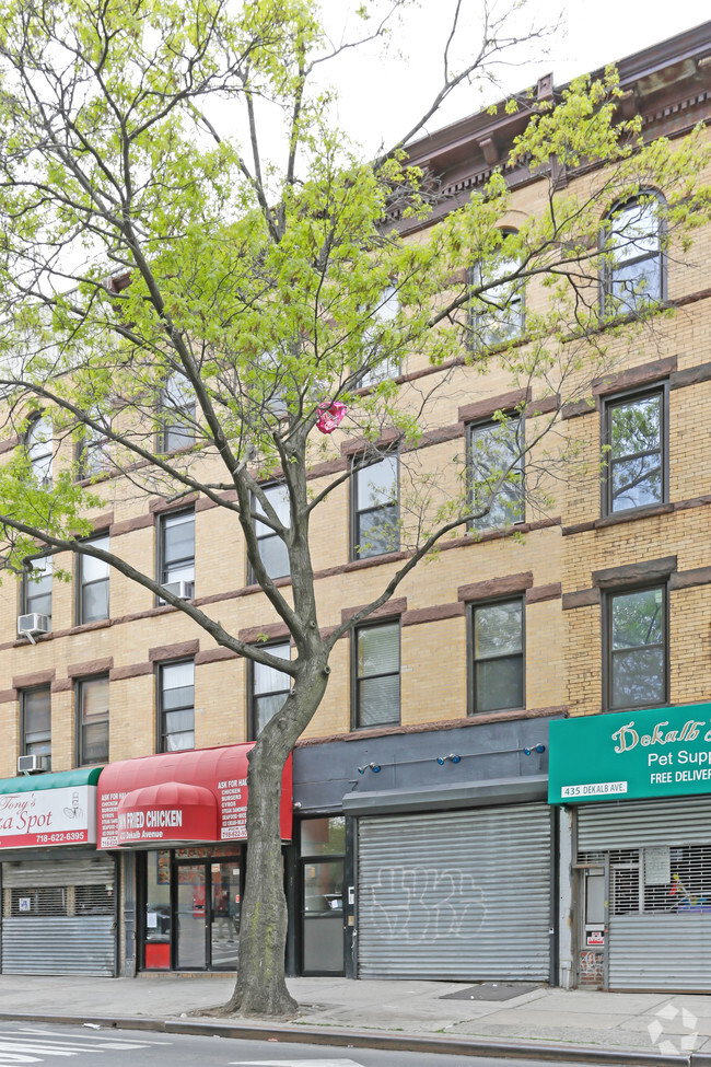 Building Photo - 433 Dekalb Ave