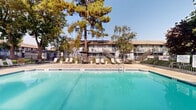 Located at 3975 Seven Trees Blvd in San Jose, California, this outdoor amenity space centers around a generously sized swimming pool with clear, blue-green water. The pool is framed by a wide concrete sun deck that accommodates numerous lounge chairs, ideal for sunbathing and relaxation under the California sky. Mature trees surround the perimeter, providing natural shade and a lush, park-like atmosphere throughout the space.

The deck area is well-appointed with multiple seating arrangements, including lounge chairs positioned poolside for sunbathing and shaded patio sets with umbrellas for those seeking refuge from direct sunlight. Metal fencing encloses the pool area, with gate access points visible on multiple sides, ensuring a safe and defined recreation zone.

Surrounding the pool, the landscaping features a mix of tall pine trees, ornamental shrubs, and colorful potted plants that contribute to a vibrant and welcoming outdoor environment. Adjacent residential buildings with staircase access are visible in the background, integrating the pool area naturally into the broader community setting. A dedicated clubhouse-style structure with pitched rooflines and large windows sits prominently on one side of the pool, suggesting additional indoor amenity space. Overall, the area offers a well-maintained, community-oriented outdoor retreat.