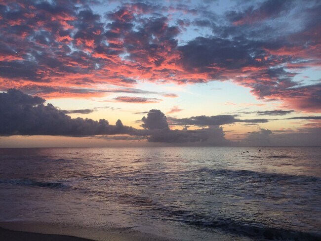 Foto del edificio - STAY OCEANFRONT FOR THE WINTER!