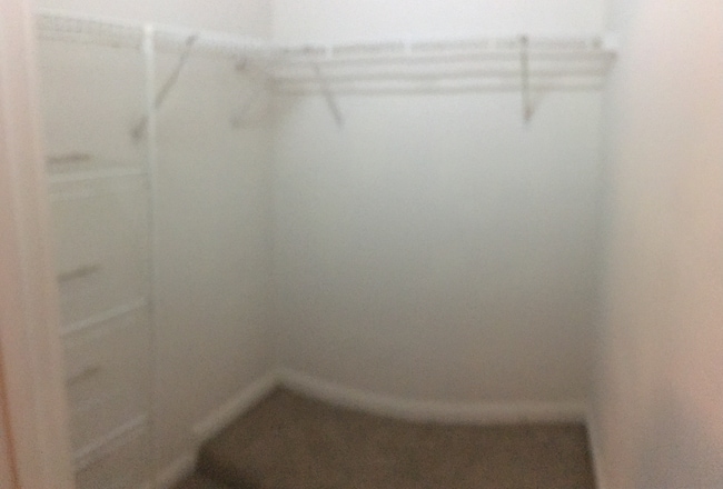 Photo - 973 Windsor St Apartment