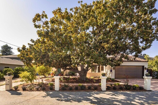 Building Photo - 686 Matadero Ave