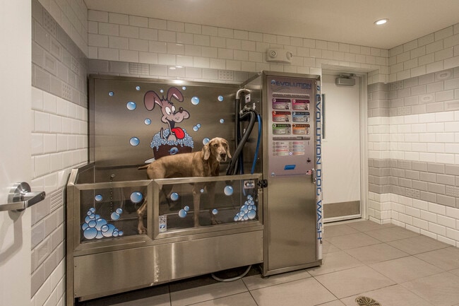 Pet Spa - Beach House Apartments