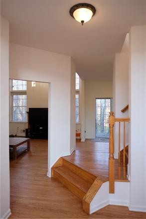 Foto del edificio - 28 Yorktown Rd