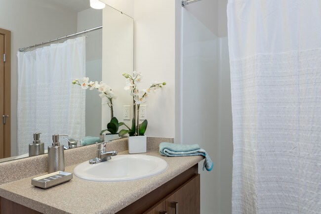 Todos los baños cuentan con una combinación de bañera y ducha. - Reserve at Everett for 55+ Active Seniors