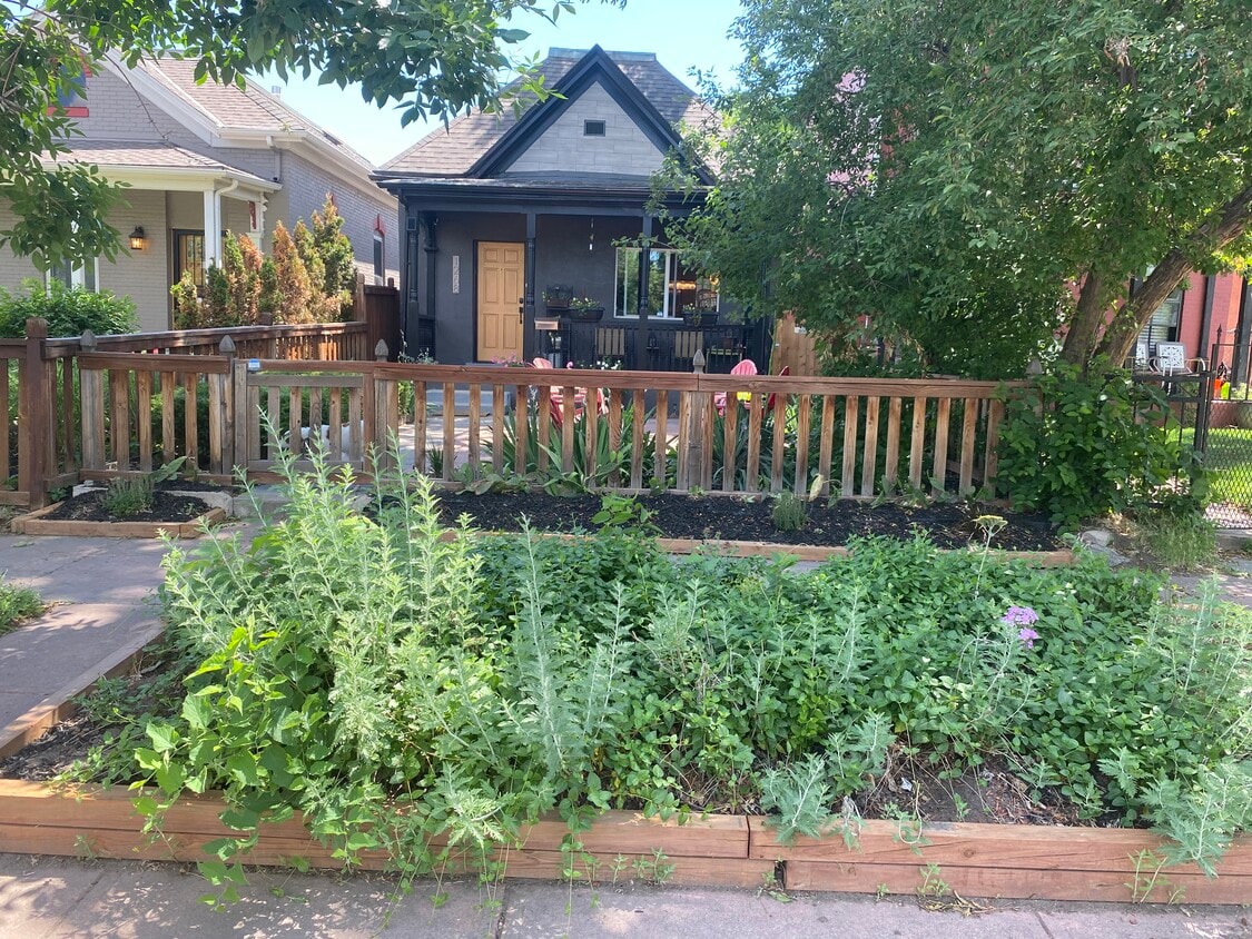 Foto principal - 1268 Lipan St