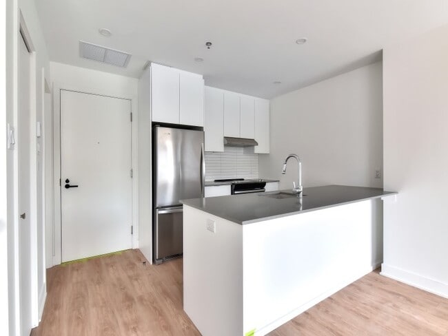 Building Photo - 468 sg Condos Locatifs Plateau Mont Royal