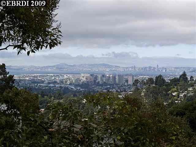 Amazing 1200 sqft In-Law unit with Views - Amazing 1200 sqft  In-Law unit with Views