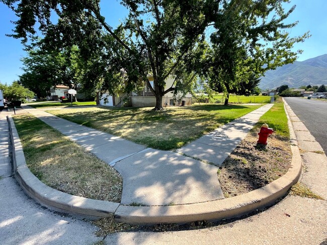 Building Photo - Great 4 Bed/3 Bath home in Layton