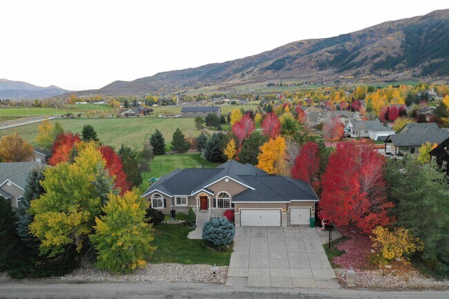 Foto del edificio - Beautiful home with 3 car garage and overs...