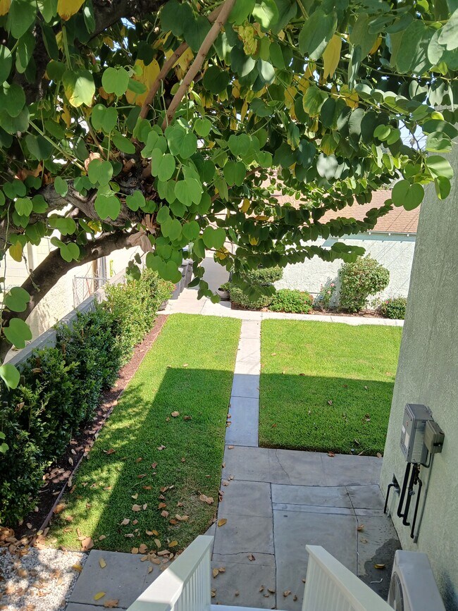 partial view of yard from second floor - 1526 N Buena Vista St