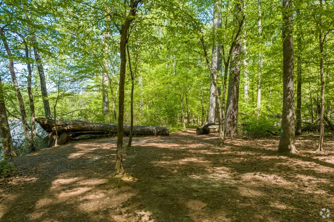 Jones Bridge Park Offers Miles of Trails.