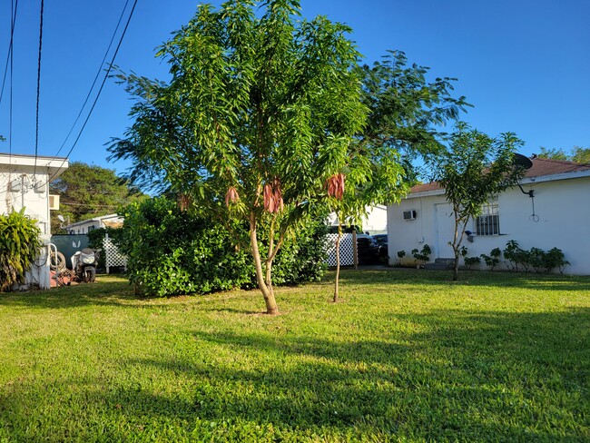 Foto del edificio - El Portal Village