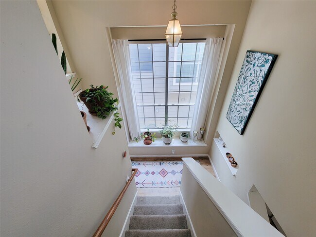 Foto del edificio - 42 Wineberry Pl