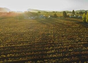 Building Photo - 555 Zinfandel Ln