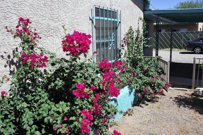 Photo - 1419 E Hedrick Dr House