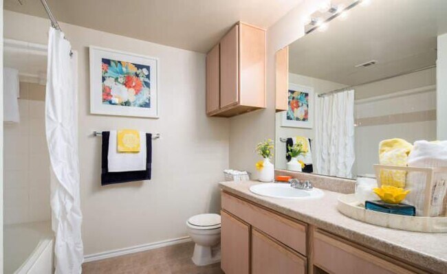 Foto del edificio - 2 bedroom in Lewisville TX 75067