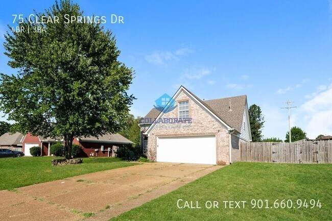 Foto del edificio - 75 Clear Springs Dr