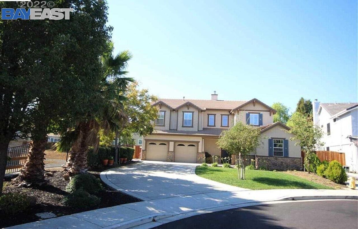 Apartment Rentals 94513 at Terrence Baker blog