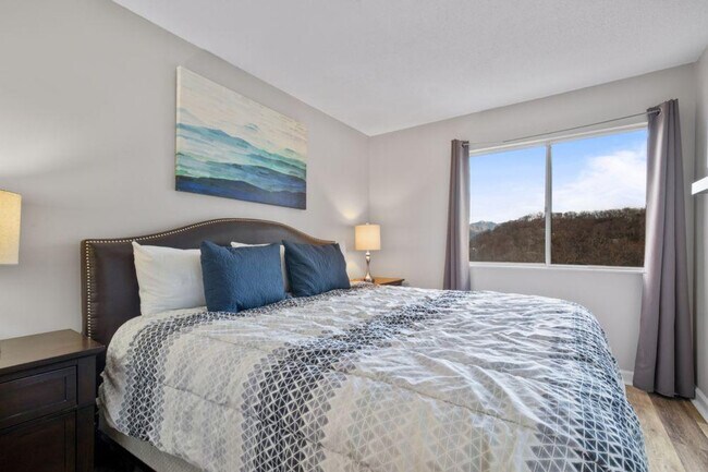 Foto del edificio - 1260 Ski View Dr