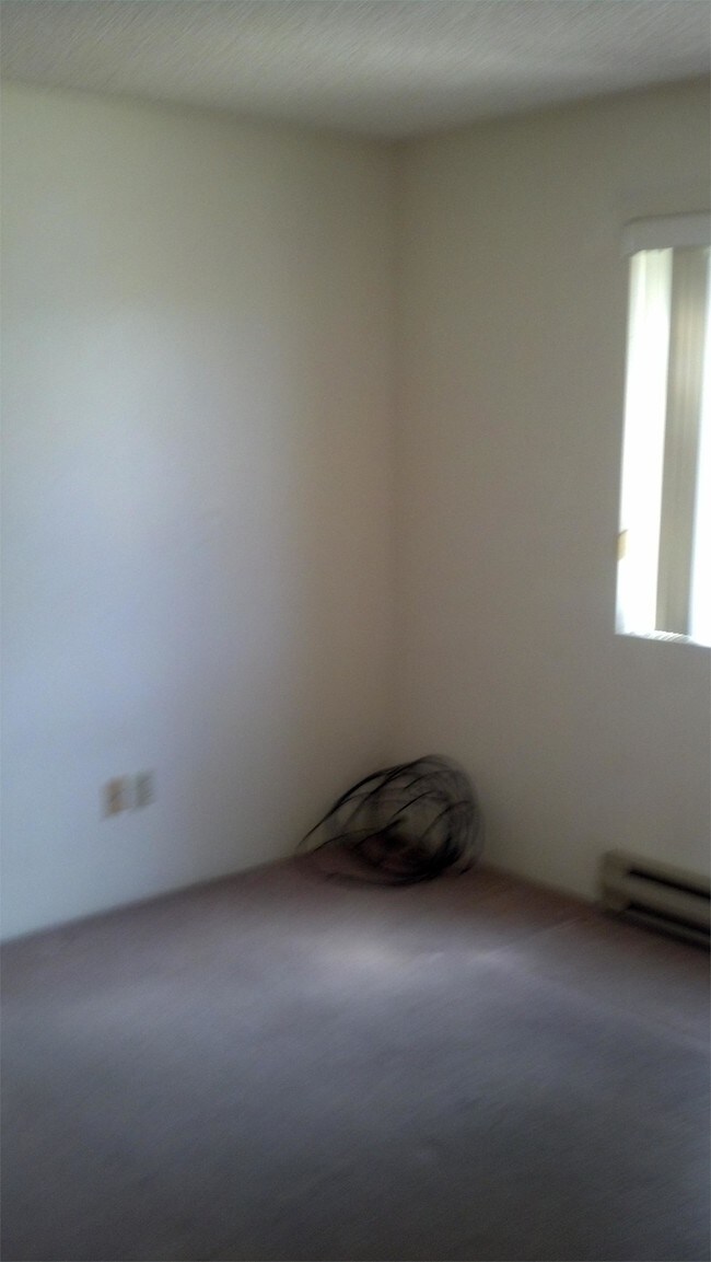 Foto del edificio - 439 S Alarcon St