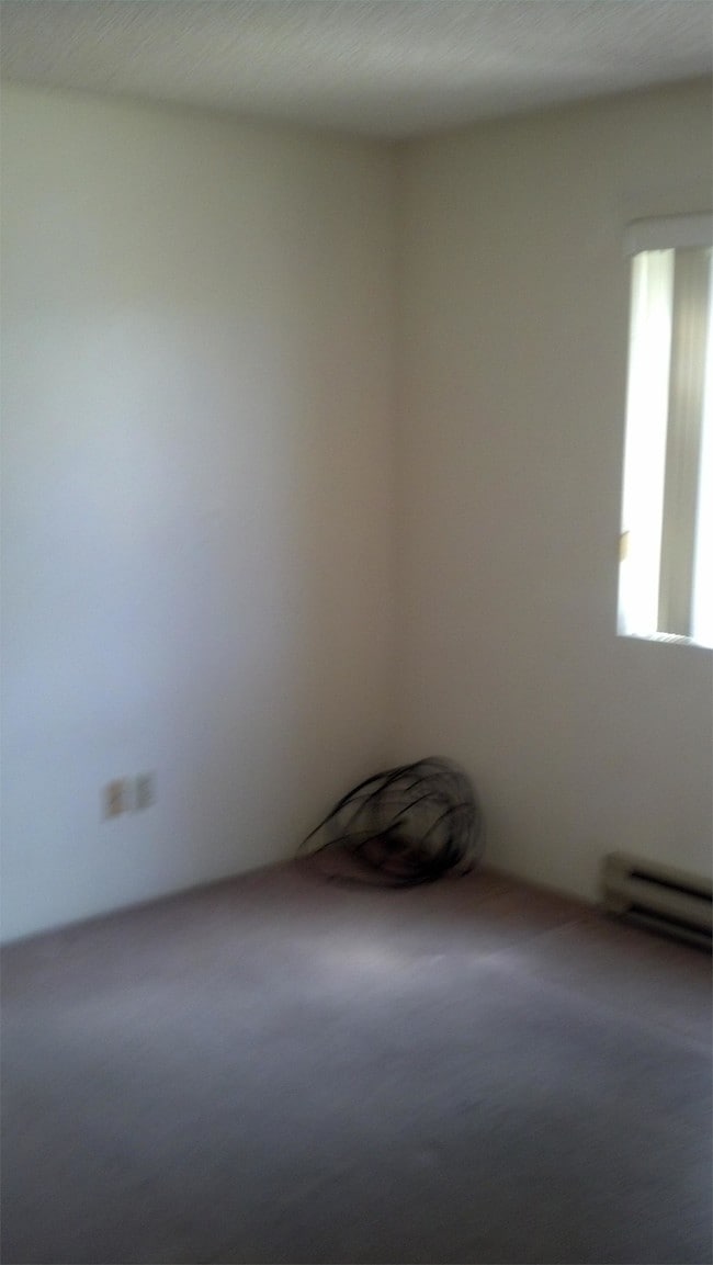 Building Photo - 439 S Alarcon St