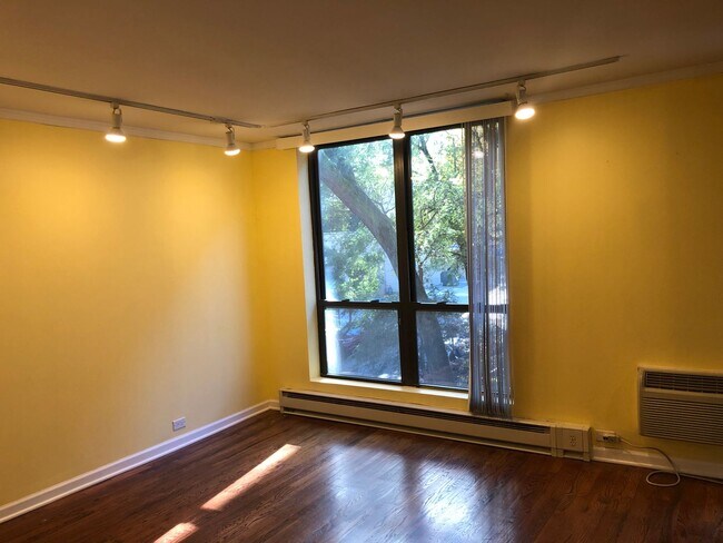 Foto del edificio - Beautiful Lincoln Park condo situated right next to Lake Shore Drive and Clark Street!
