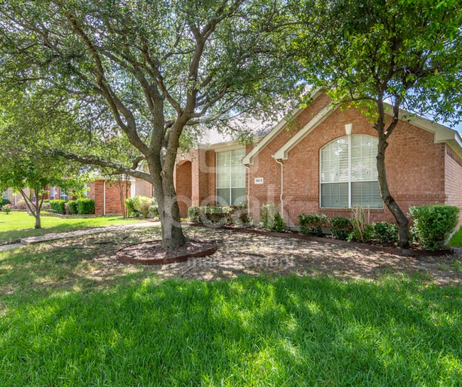 Building Photo - $2600! Beautiful 3 Bed, 2 Bath home in desirable PLANO! Tour Now!