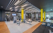 This modern fitness facility is thoughtfully designed across a single floor, offering distinct zones tailored to a comprehensive workout experience. The space is unified by warm hardwood flooring throughout, creating a clean and energizing atmosphere.

The cardio zone features a generous row of Life Fitness treadmills and additional cardio machines, positioned in front of large windows that bring in natural light and views of the surrounding outdoor greenery. Deep charcoal-painted walls and recessed lighting give this area a sleek, high-energy aesthetic, complemented by full-length mirrors that expand the sense of space.

The cycling studio is a bright, open room with light-colored walls, floor-to-ceiling mirrors, and a wall-mounted flat-screen display for guided workouts. Multiple stationary spin bikes are arranged for class-style sessions, and stacked weight mats are conveniently stored nearby. Large windows overlook a landscaped exterior, flooding the room with natural light.

The strength training area is distinguished by bold yellow accent columns against a dark ceiling, lending the space a dynamic, gym-quality character. A full rack of dumbbells, weight benches, cable machines, and squat racks are arranged on protective rubber mats. Floor-to-ceiling mirrors line the walls, enhancing both functionality and spatial depth.

A dedicated free-weight and functional training room, enclosed by sleek glass partition walls, completes the facility, offering a versatile and private space for focused strength work.