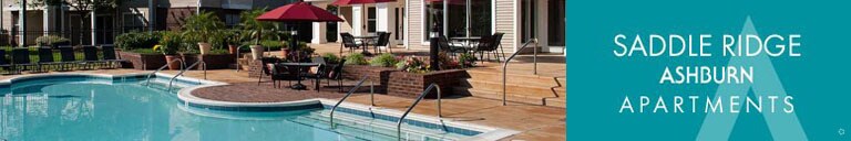 Saddle Ridge