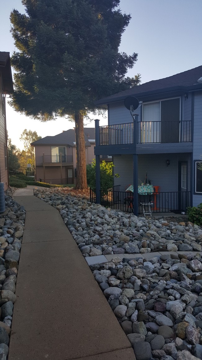 3820 Market Ct, Shingle Springs, CA 95682 Townhome Rentals in Shingle Springs CA