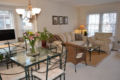 Living room - 6313 Chimney Wood Ct