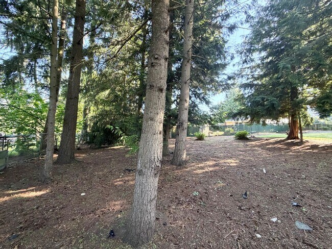 Foto del edificio - Fully updated 4 bedroom Federal Way home