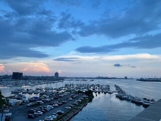 Vista desde la terraza al atardecer. - 1000 Fell St