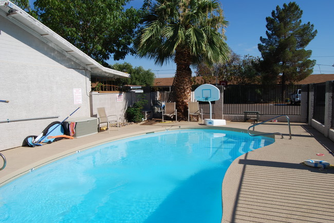 Pool - Desert Villa