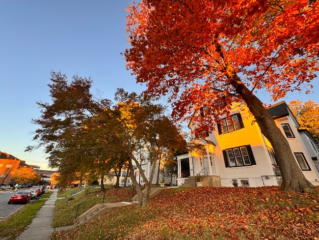 Foto del edificio - 630 Jefferson Ave