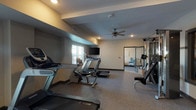 This fitness center is a thoughtfully designed, single-level space offering a comprehensive range of exercise equipment within a clean, functional environment. The room features speckled, rubberized flooring throughout, providing both durability and comfort underfoot. Recessed lighting and ceiling fans keep the space well-lit and well-ventilated, while windows fitted with blinds allow natural light to filter in and offer views to the exterior.

The cardio section is well-stocked, housing multiple treadmills, a stationary recumbent bike, and an elliptical or step machine, all positioned to take advantage of the available natural light. A wall-mounted flat-screen television is conveniently placed for entertainment during workouts. A multi-use cable weight machine anchors the strength training area, accompanied by a dedicated dumbbell rack holding a full range of free weights. Exercise and stability balls add versatility for stretching and core training.

Large mirrors line one section of the wall, visually expanding the space and allowing users to monitor their form. A glass-panel door connects to an adjacent lounge or waiting area, adding a sense of openness. The neutral, beige-toned walls and understated design create a focused, distraction-free atmosphere well-suited for exercise.