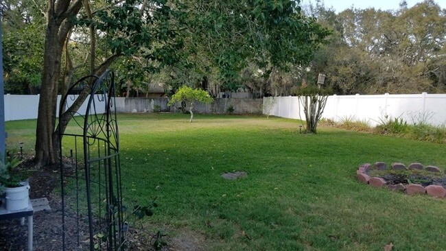 Back yard - 3817 Windfall Court