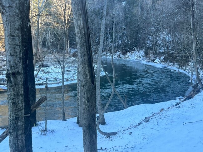 Our part of the New River - 971 Riverwind Rd