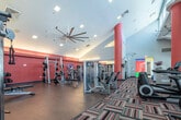 This expansive, single-floor fitness center is designed to deliver a comprehensive workout experience in a vibrant, well-appointed setting. The main exercise floor is defined by soaring ceilings, bold red cylindrical columns, and exposed metallic ductwork that lend an industrial-modern character to the space. A vivid, multicolored patterned carpet runs throughout the central zone, visually anchoring the rows of cardio equipment that line the large windows — including treadmills, ellipticals, recumbent bikes, and stair climbers — all positioned to take advantage of the natural light and outdoor views beyond. Oversized ceiling fans provide additional airflow throughout the open floor plan.

The strength training area features a rich hardwood floor and deep red accent walls, creating an energizing atmosphere. A comprehensive selection of selectorized weight machines is arranged in this section, complemented by wall-mounted flat-screen televisions and floor-to-ceiling mirrors that amplify the sense of space. Free weights, barbells, and a cable machine station round out the strength offerings.

A dedicated cycling studio is tucked within the facility, equipped with a row of LifeCycle spin bikes, a wall-mounted display screen, and a dramatic vaulted ceiling with a large ceiling fan — creating an immersive, boutique-style spin class environment. Throughout the facility, the combination of natural light, bold design choices, and diverse equipment makes this a fully equipped destination for all fitness needs.