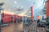 This expansive, single-floor fitness center is designed to deliver a comprehensive workout experience in a vibrant, well-appointed setting. The main exercise floor is defined by soaring ceilings, bold red cylindrical columns, and exposed metallic ductwork that lend an industrial-modern character to the space. A vivid, multicolored patterned carpet runs throughout the central zone, visually anchoring the rows of cardio equipment that line the large windows — including treadmills, ellipticals, recumbent bikes, and stair climbers — all positioned to take advantage of the natural light and outdoor views beyond. Oversized ceiling fans provide additional airflow throughout the open floor plan.

The strength training area features a rich hardwood floor and deep red accent walls, creating an energizing atmosphere. A comprehensive selection of selectorized weight machines is arranged in this section, complemented by wall-mounted flat-screen televisions and floor-to-ceiling mirrors that amplify the sense of space. Free weights, barbells, and a cable machine station round out the strength offerings.

A dedicated cycling studio is tucked within the facility, equipped with a row of LifeCycle spin bikes, a wall-mounted display screen, and a dramatic vaulted ceiling with a large ceiling fan — creating an immersive, boutique-style spin class environment. Throughout the facility, the combination of natural light, bold design choices, and diverse equipment makes this a fully equipped destination for all fitness needs.