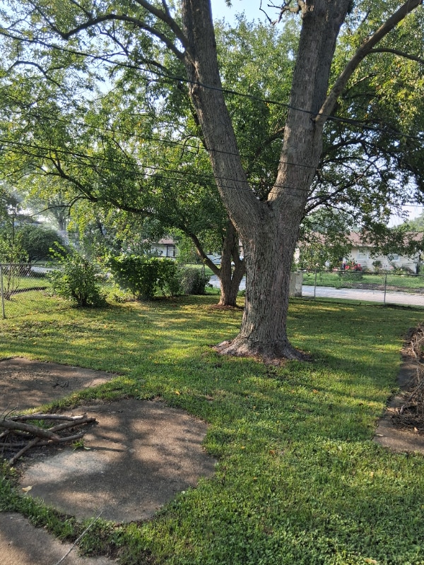 Foto del edificio - 22332 Clyde Ave