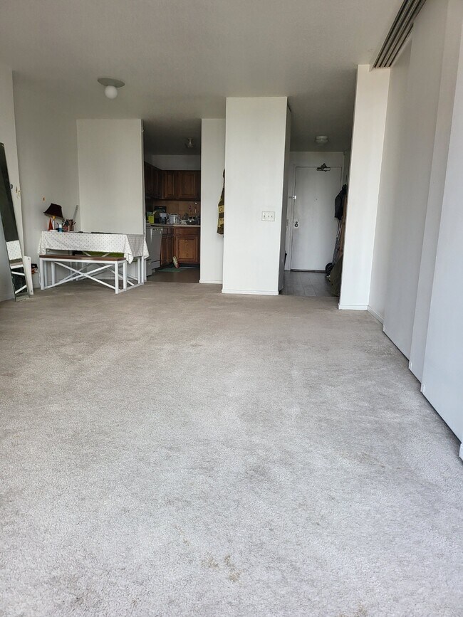 899 S Plymouth Ct Unit 1806, Chicago, IL 60605 Condo for Rent in