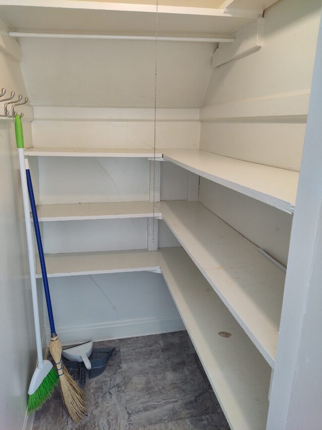 Walk in pantry - 15 Forest St