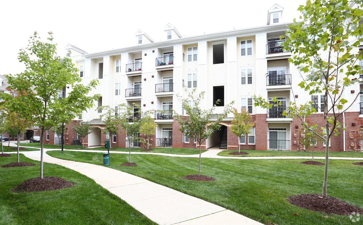 Primary Photo - Commons at Potomac Square