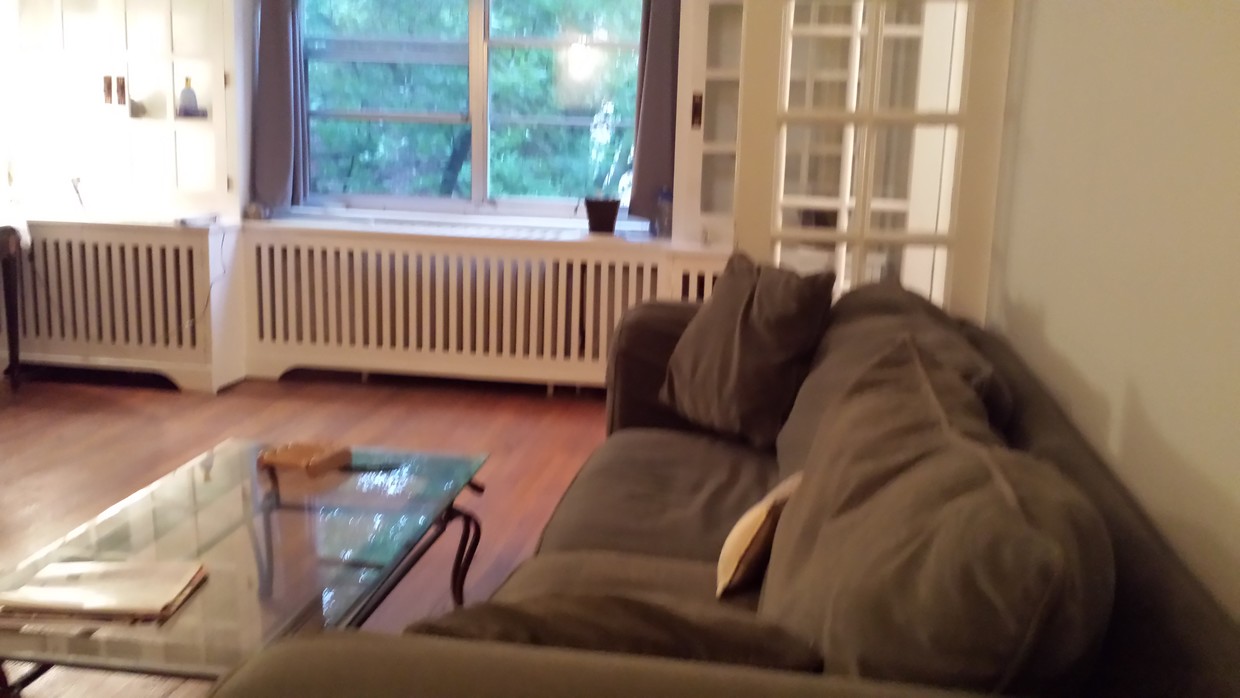 Living Room - 100 E Palisade Ave