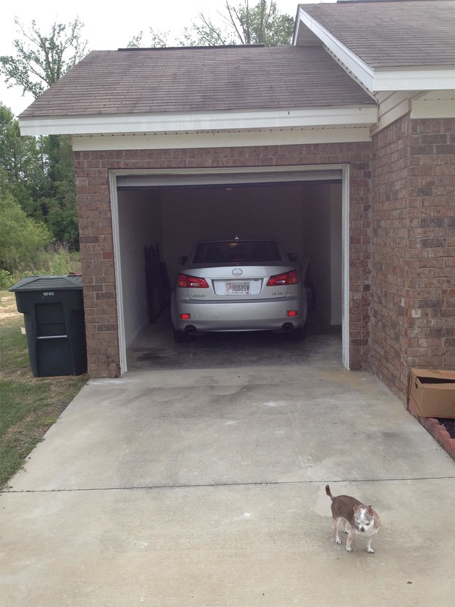 Foto del edificio - 5044 Scotch Pine Ave