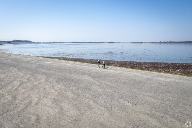 Peaceful day by Folsom Lake shoreline