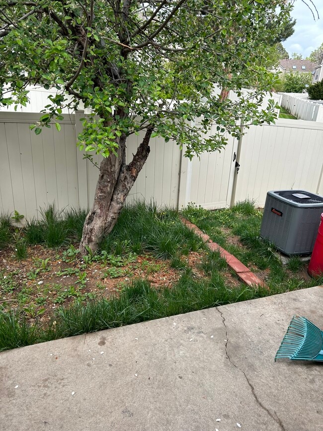 Small fenced yard - 9627 W Chatfield Ave